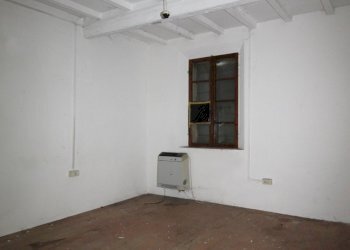 IMG_6084.JPG - Terreno edificabile Poviglio - foto 9