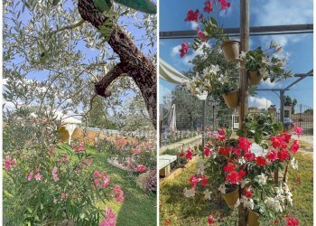 Le Baccanti (4).jpg - Casale Località Torri, Gualdo Cattaneo - foto 6