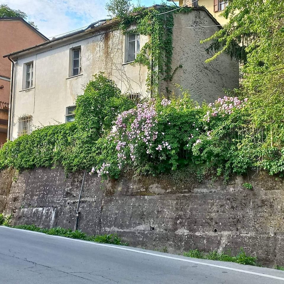 443006461_1382593009072626_1011696815349125409_n.j - Villa Pietrasanta - foto 1