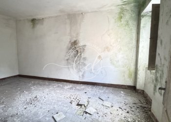 IMG_8584 2.JPG - Villa Pietrasanta - foto 22