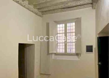 Negozio Lucca - foto 1