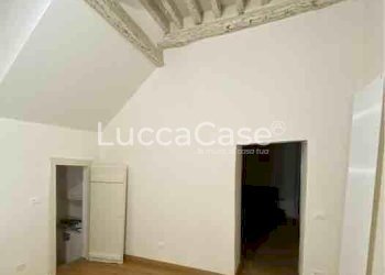 Negozio Lucca - foto 3