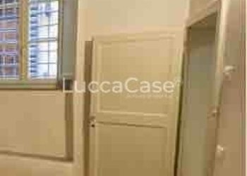 Negozio Lucca - foto 4