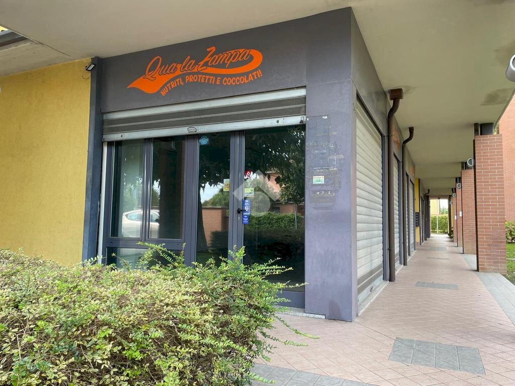Shop Via Fanin 2, Budrio - photo 1