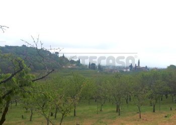 e0a3ff25-1e4b-40a4-9530-1a32c73f7d00 - Copia - Cop - Agricultural land Castegnero - photo 13