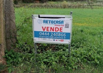 8a647633-5e6c-4835-920c-84f7082f6658.jpeg - Agricultural land Castegnero - photo 1