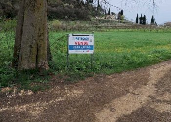 7cc5f97e-b321-469f-9a61-5e265d4bee96.jpeg - Agricultural land Castegnero - photo 2