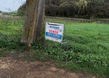 6db1e40b-b58f-4f5d-8352-1a59c4e48f05.jpeg - Agricultural land Castegnero - photo 4