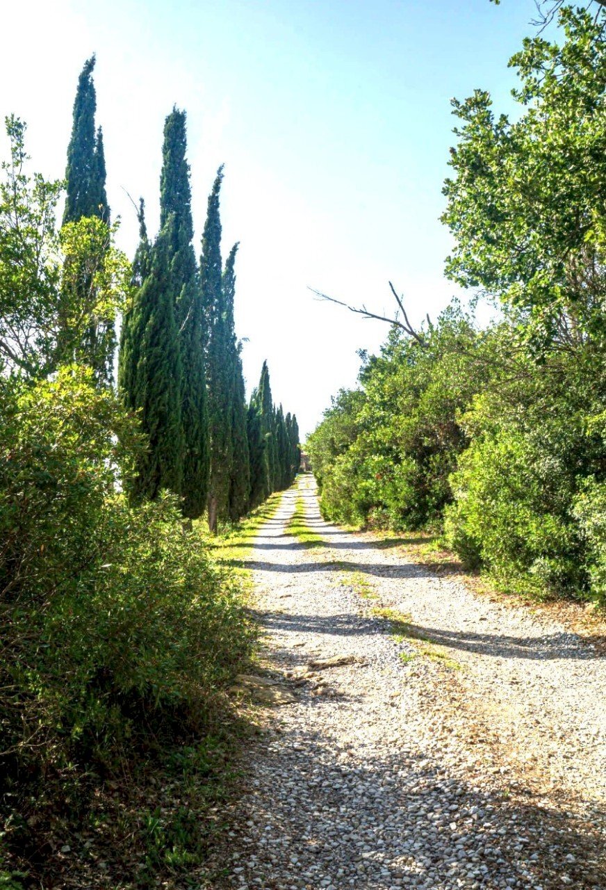 DILEOIMMOBILIARE VENDE (8).jpg - Farm Monterotondo Marittimo - photo 2