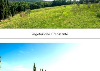 dileoimmobiliare vende in Toscana (32).jpg - Azienda agricola Monterotondo Marittimo - foto 12