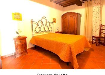 DILEOIMMOBILIARE VENDE (1).jpg - Azienda agricola Monterotondo Marittimo - foto 20