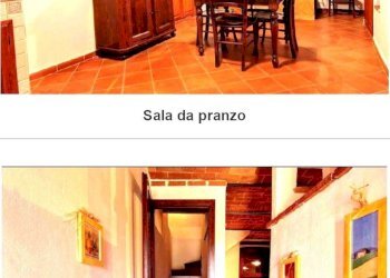 DILEOIMMOBILIARE VENDE (3).jpg - Azienda agricola Monterotondo Marittimo - foto 22