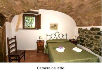 DILEOIMMOBILIARE VENDE (11).jpg - Azienda agricola Monterotondo Marittimo - foto 24