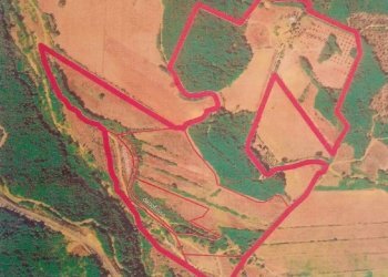 dileoimmobiliare vende in Toscana (27).jpg - Azienda agricola Monterotondo Marittimo - foto 25