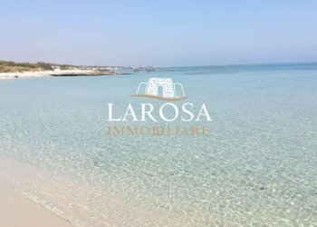 7.jpg - Food - Gastronomy Melendugno - photo 12