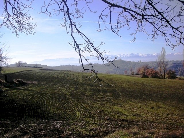 003.JPG - Rustico Via Rea Sottana, Murazzano - foto 3