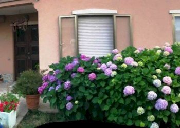 Appartamento Rivergaro - foto 1