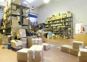 Shed via cartiera, Sasso Marconi - photo 10