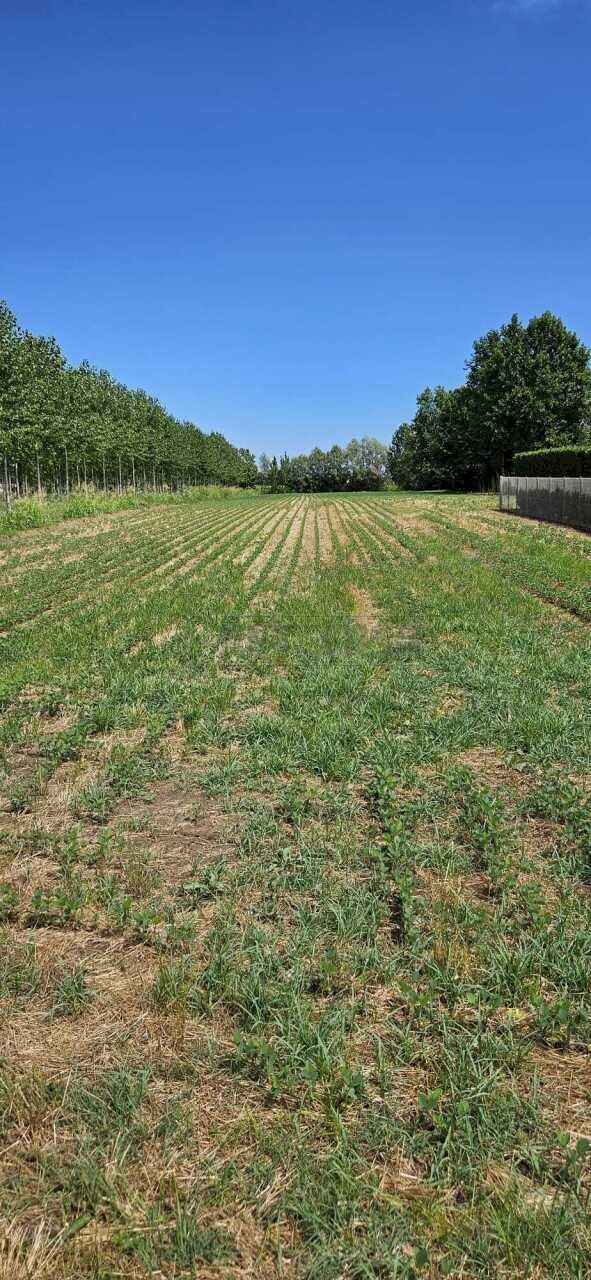 5 - Rustic Mirano - photo 2