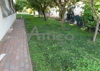 6.jpg - Casa indipendente Via A. de Gasperi 570, Costa di Rovigo - foto 6