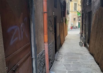 Cantina / Solaio Vico Calvi, Genova - foto 2