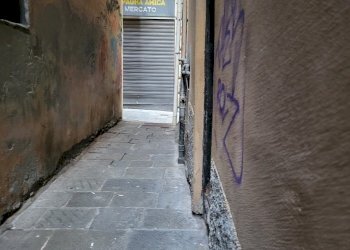 Cantina / Solaio Vico Calvi, Genova - foto 3