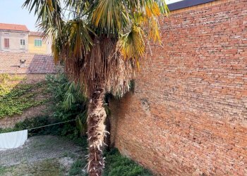 Appartamento Massa Lombarda - foto 15