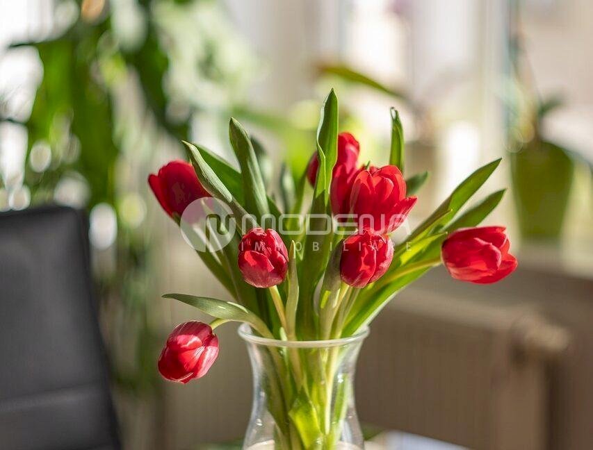 Appartamento Modena - foto 2