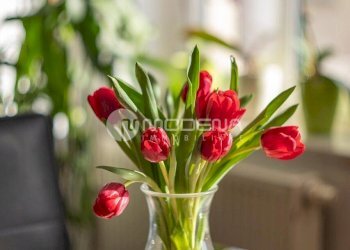 Appartamento Modena - foto 2