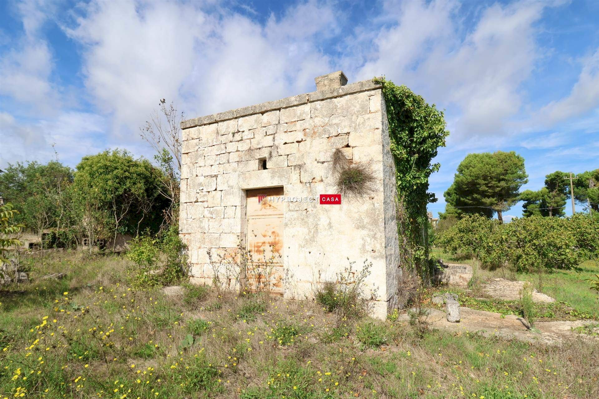 Rustico Contrada Cavallerizza, Ostuni - foto 1