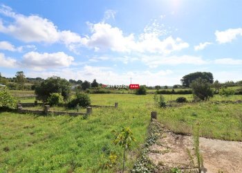 Rustico Contrada Cavallerizza, Ostuni - foto 3