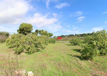Rustico Contrada Cavallerizza, Ostuni - foto 4