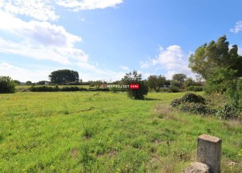 Rustico Contrada Cavallerizza, Ostuni - foto 5
