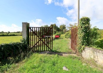 Rustico Contrada Cavallerizza, Ostuni - foto 6