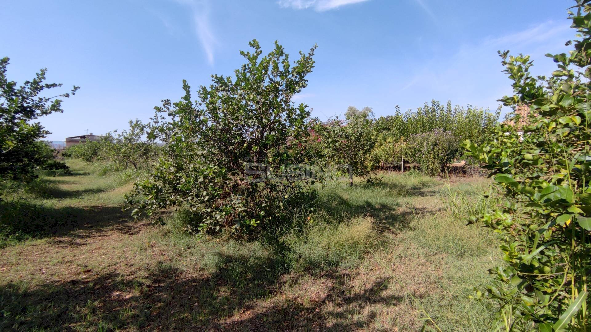 Agricultural land strada finaidi, Floridia - photo 1
