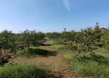 Agricultural land strada finaidi, Floridia - photo 7