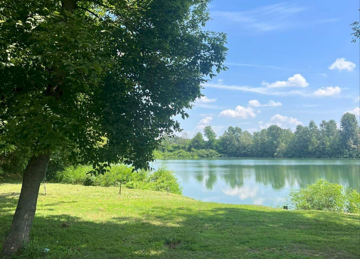 Locale Commerciale Strada Asino, Carignano - foto 1