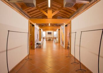 Interno non residenziale - Attività Commerciale Castel Maggiore - foto 6