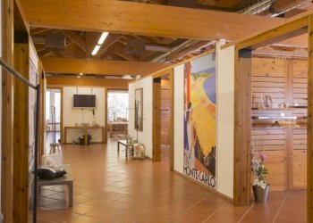 Interno non residenziale - Attività Commerciale Castel Maggiore - foto 8