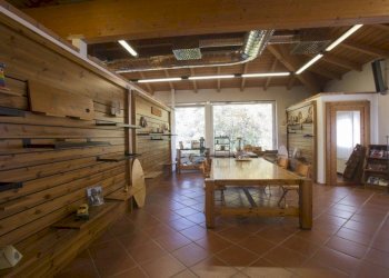 Interno non residenziale - Attività Commerciale Castel Maggiore - foto 15