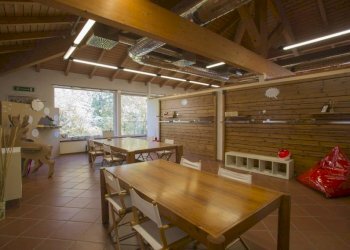 Interno non residenziale - Attività Commerciale Castel Maggiore - foto 17