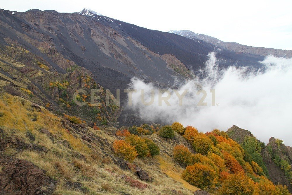 maletto 4.jpg - Terreno agricolo contrada porcheria SNC, Maletto - foto 3