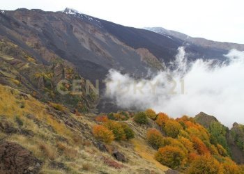 maletto 4.jpg - Terreno agricolo contrada porcheria SNC, Maletto - foto 3