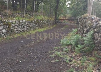 WhatsApp Image 2024-09-26 at 07.55.53 (2).jpeg - Terreno agricolo contrada porcheria SNC, Maletto - foto 4