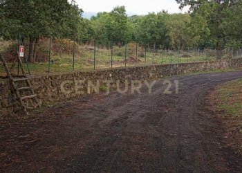 WhatsApp Image 2024-09-26 at 07.55.53 (4).jpeg - Terreno agricolo contrada porcheria SNC, Maletto - foto 6