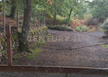 WhatsApp Image 2024-09-26 at 07.55.53.jpeg - Terreno agricolo contrada porcheria SNC, Maletto - foto 7