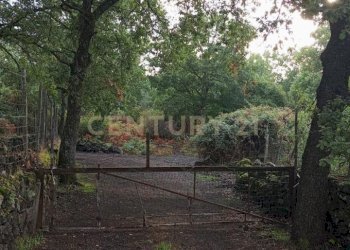 WhatsApp Image 2024-09-26 at 07.55.53 (1).jpeg - Terreno agricolo contrada porcheria SNC, Maletto - foto 8