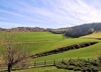 Casale Sale delle Langhe - foto 7