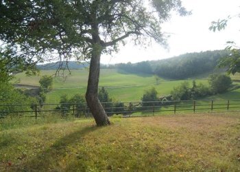 Casale Sale delle Langhe - foto 9