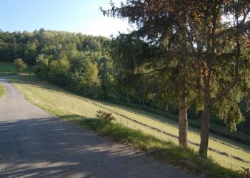 Casale Sale delle Langhe - foto 23